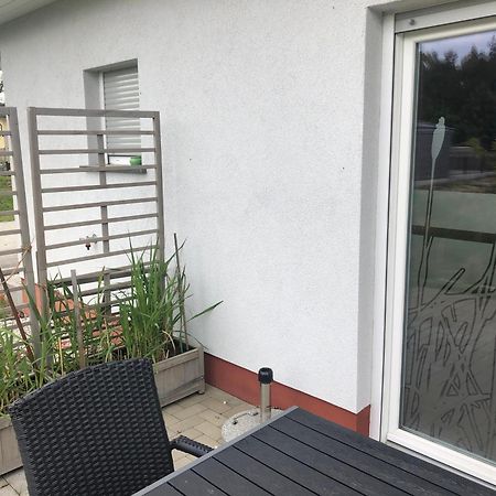 Schilfblume Villa Grosskoschen Rom bilde