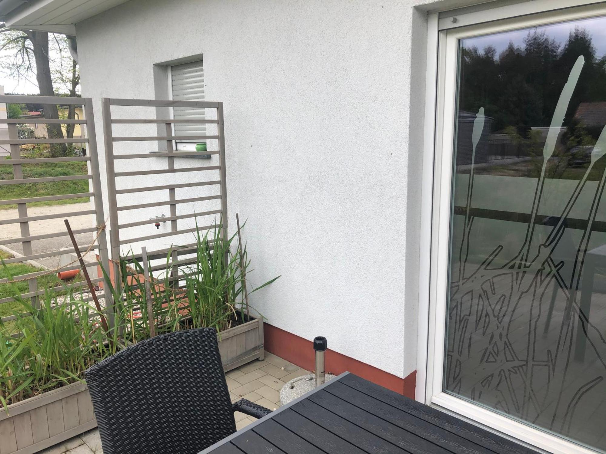 Schilfblume Villa Grosskoschen Rom bilde